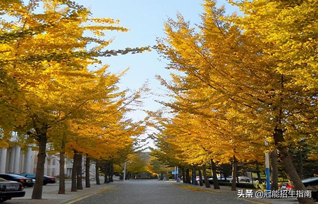 成都公立职高学校排名前十(成都公立职高有哪些学校)