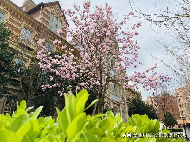 四川市场营销专业学校(研究生市场营销专业学校排名)
