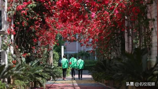 双流职业学校(成都双流职业学校)