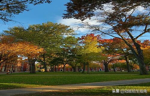 成都卫生学校招生条件(西安卫生学校招生条件)