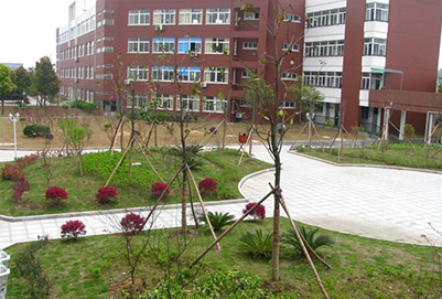 广安职业学校排行榜(广安机电职业学校怎么样)