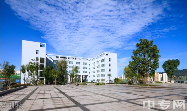 宜宾市职业技术学校(宜宾市职业技术学校地址)
