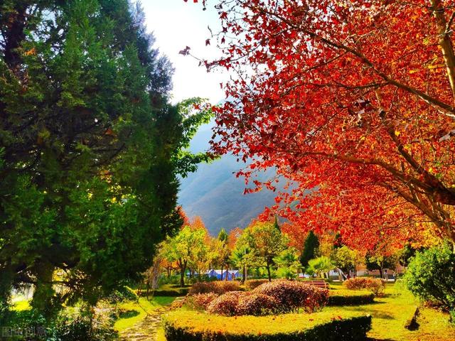 四川好的师范专业的学校(四川师范单招有哪些学校)