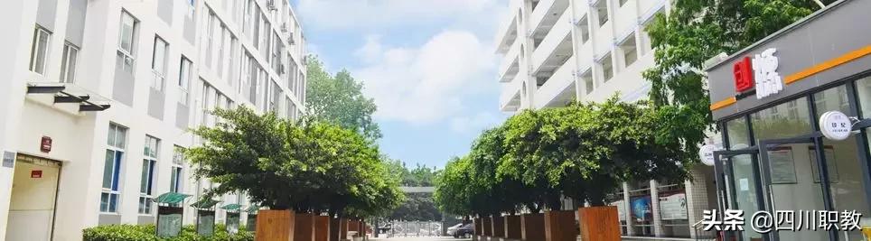 成都市洞子口职业高级中学(成都市洞子口职业高级中学校官网)
