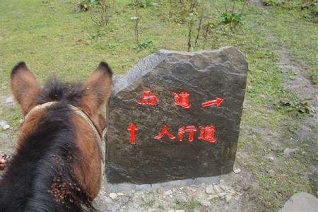 资阳中职学校排名的简单介绍