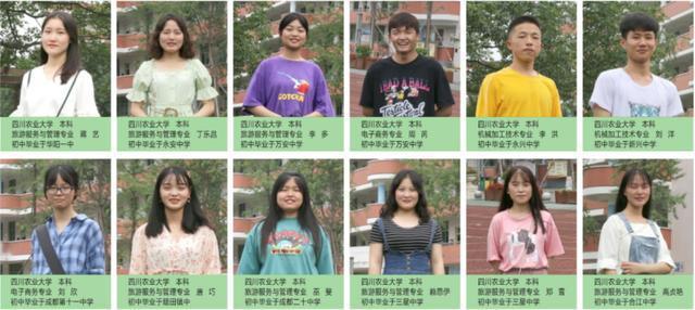 成都天府新区职业学校(成都天府新区职业学校招聘)