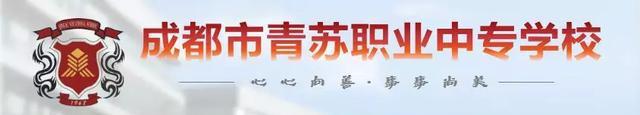 成都市中等职业学校(成都市中等职业学校毕业生学历查询)