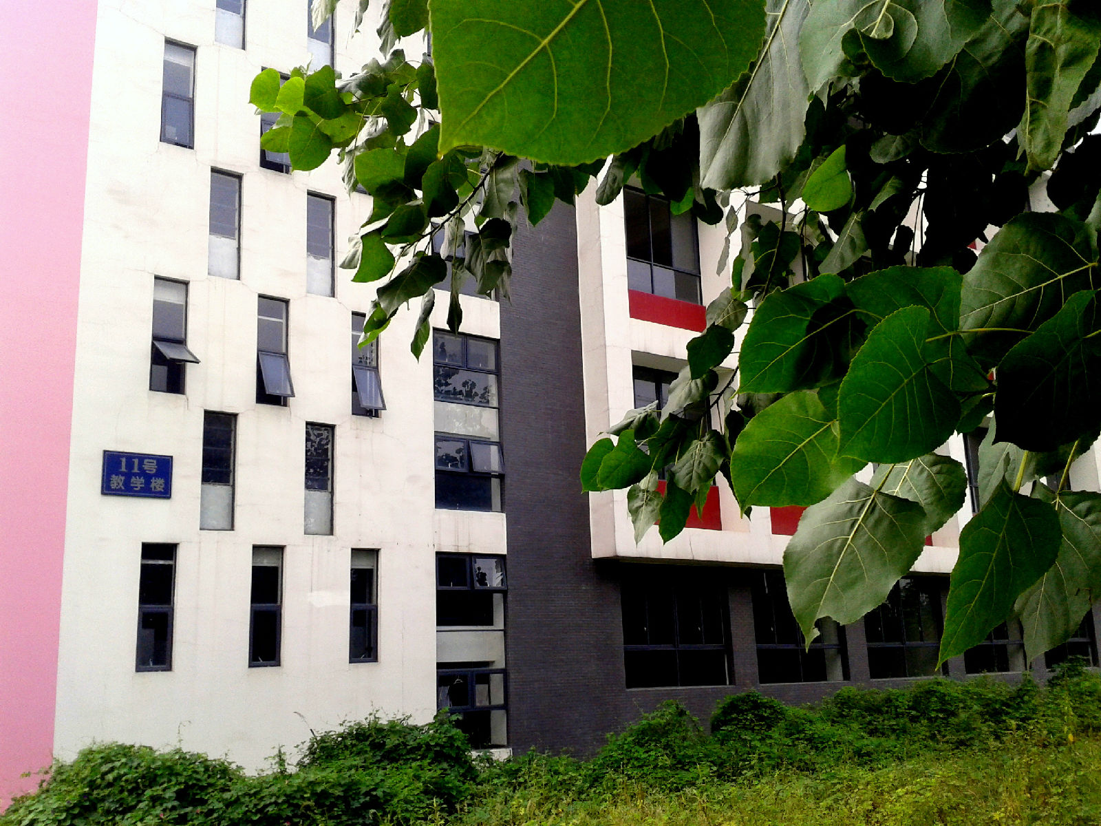 四川建筑职业技术学院(四川建筑职业技术学院贴吧)