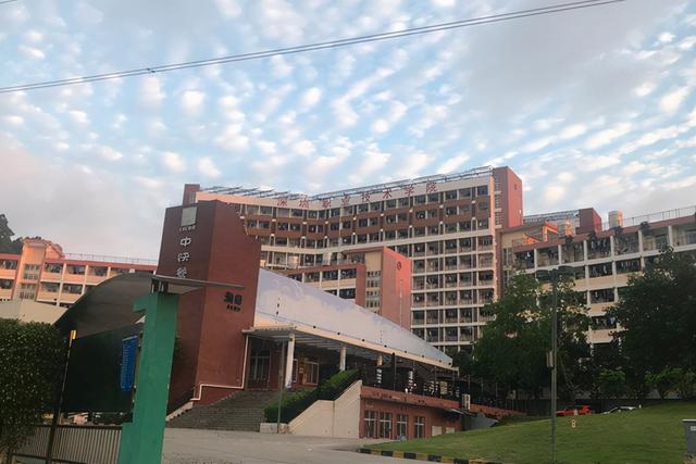 初中毕业读什么学校最好(初中毕业读中医什么学校)