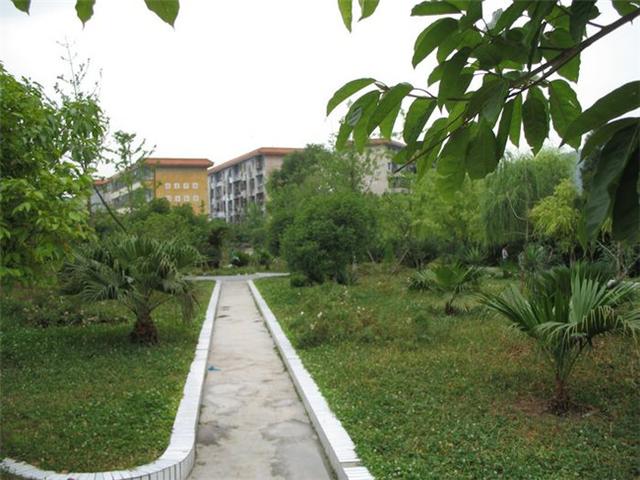 四川省盐亭县职业技术学校(四川省盐亭县职业技术学校校长)