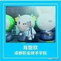 成都温江有哪些职业学校(四川省温江中等卫生职业学校)