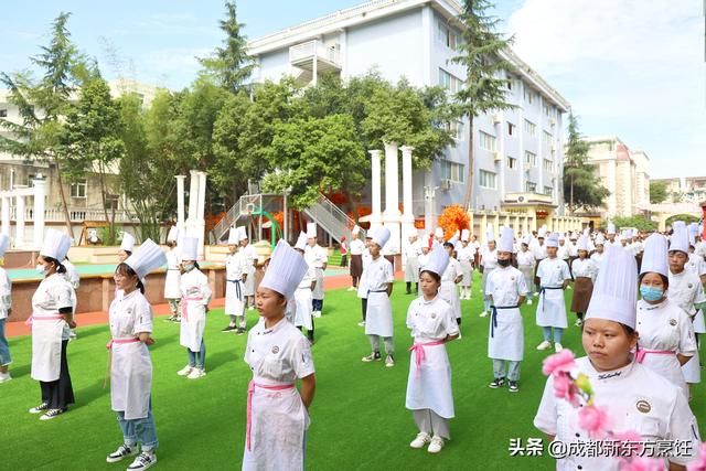 初中毕业可以去技校吗(山东省技校排名榜初中毕业)