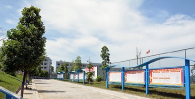 四川省苍溪县职业高级中学(四川省苍溪县职业高级中学官网)