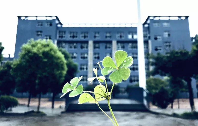 平昌通用职业技术学校(平昌通用职业技术学校官网)