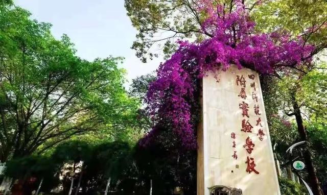 成都有哪些师范学校(成都有哪些师范大学)