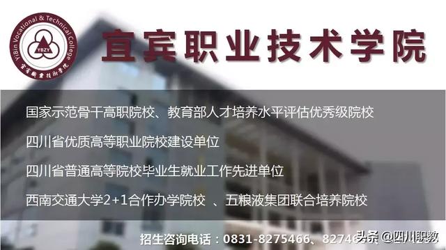 宜宾职业学校有哪些(宜宾卫生职业学校)