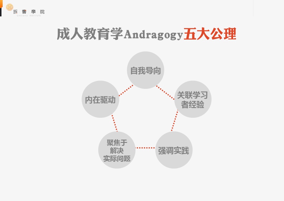 成人学设计应该去哪里学(成人美术培训去哪里学)