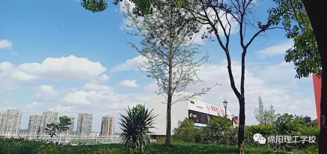 绵阳理工学校(绵阳理工学校教师招聘)