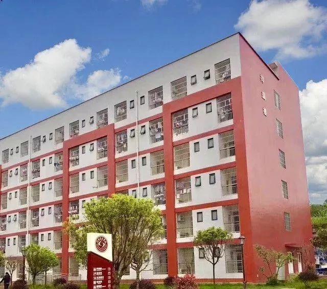 绵阳理工学校(绵阳理工学校教师招聘)