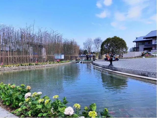 成都航天学校有哪些(成都的航空学校有哪些)
