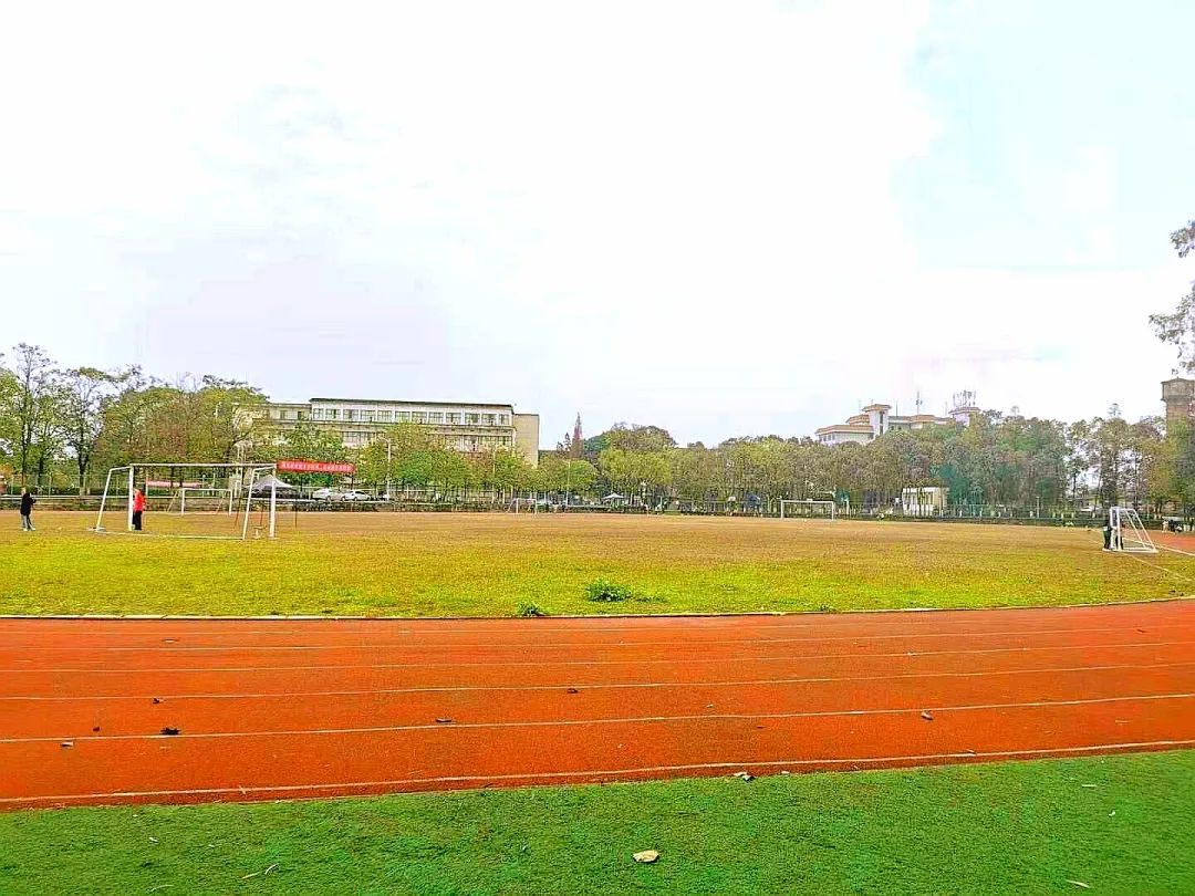 南充技术学校有哪些(南充最好的技术学校在哪里)