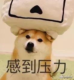 四川志翔职业学校(志翔职业学校是公办还是民办)