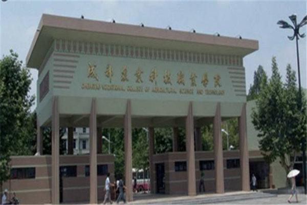 四川最好的职业技术学院(四川信息职业技术学院最好的专业)