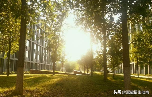 四川护理学校哪些好的简单介绍