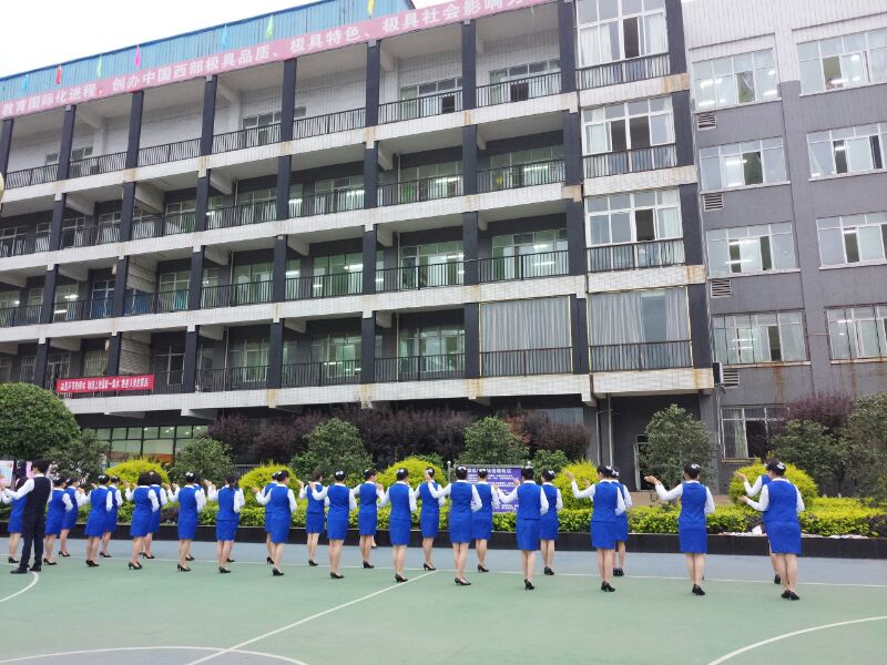 四川有哪些高铁乘务学校(四川文轩职业学院高铁乘务)