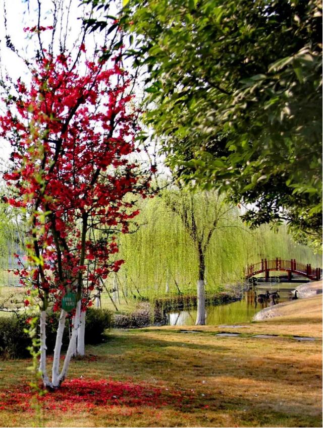 四川旅游学校怎么样(四川旅游学校黄龙溪校区)