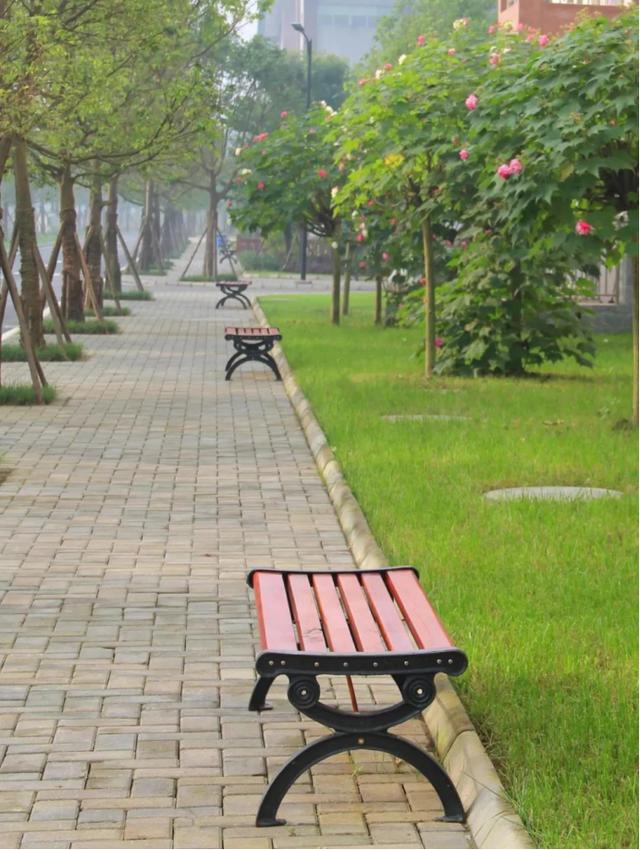四川旅游学校怎么样(四川旅游学校黄龙溪校区)