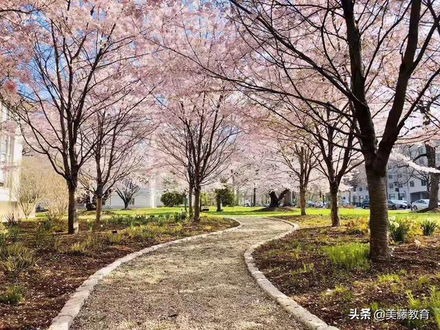 重庆服装设计学校哪家最权威(重庆服装设计专升本的学校)