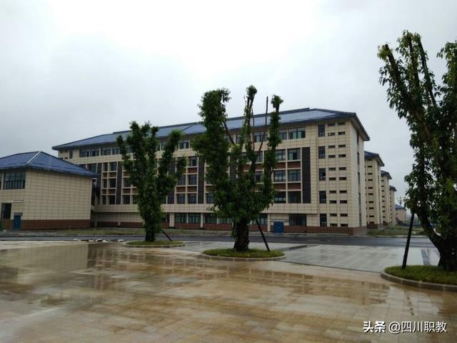 达州职业技术学院(达州职业技术学院教务管理系统)