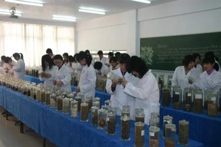 初中毕业上哪个学校好(初中毕业想学医到哪个学校好)