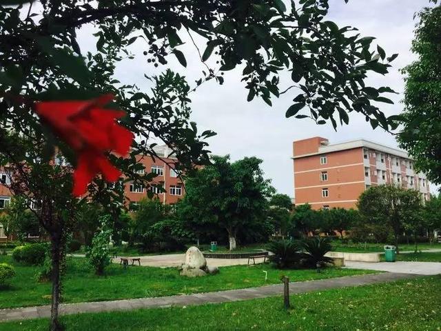 四川中职招生学校(中职学校招生宣传文案)