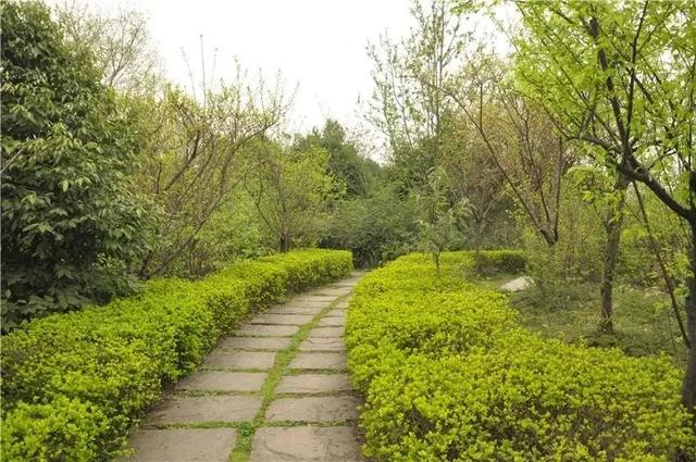 四川成都城市职业学院(四川成都城市职业学院地址)