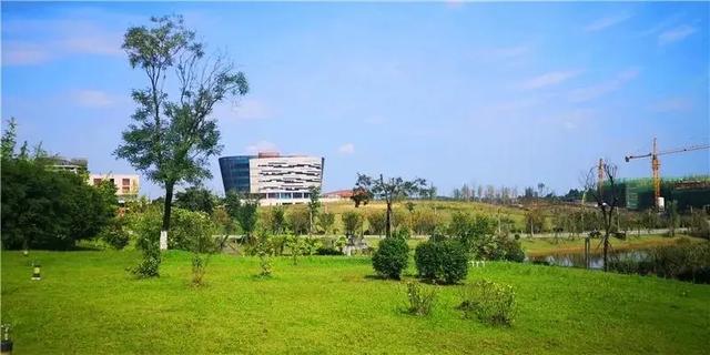 四川成都城市职业学院(四川成都城市职业学院地址)