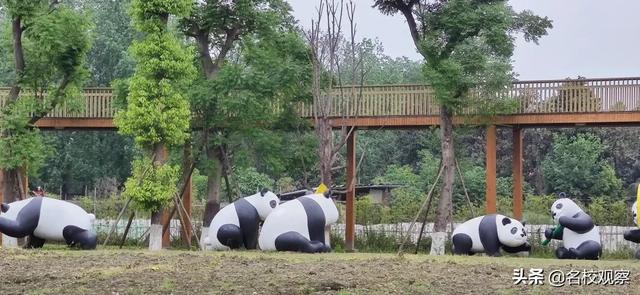 成都双流职业学校(成都双流职业技术学院)