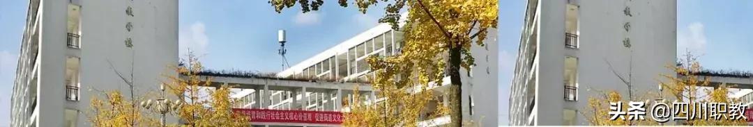四川商务职业学校(四川商务职业学院专业有哪些)