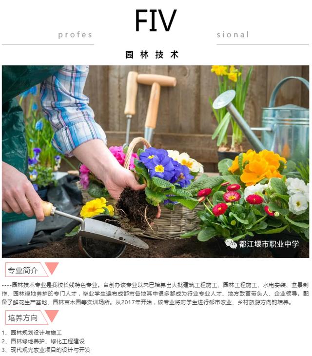 都江堰职业中学学费(都江堰职业中学宿舍)
