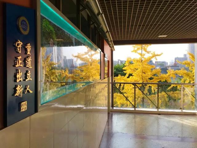 四川铁路学校好不(四川公办铁路职业学校有哪些)图2
