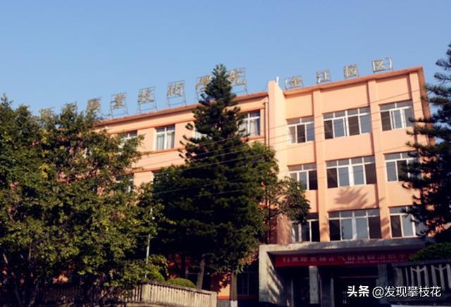 攀枝花技术学校都有哪些(四川攀枝花技术学校)