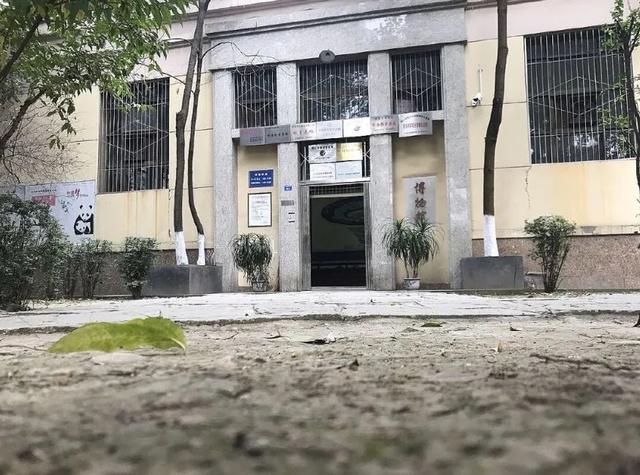 成都三加二学校有哪些(成都三加二学校公立的)