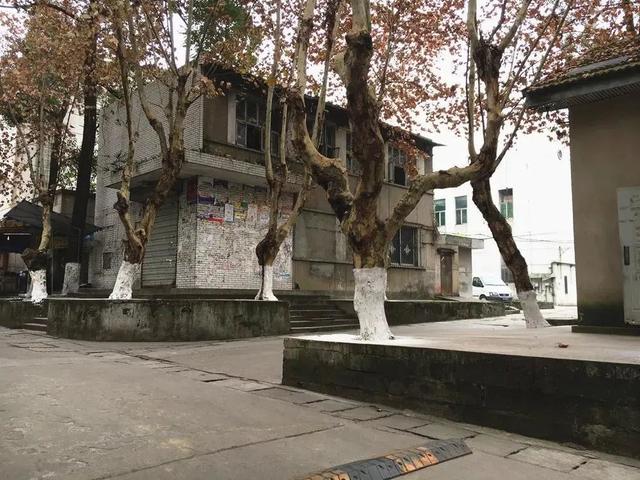 成都三加二学校有哪些(成都三加二学校公立的)