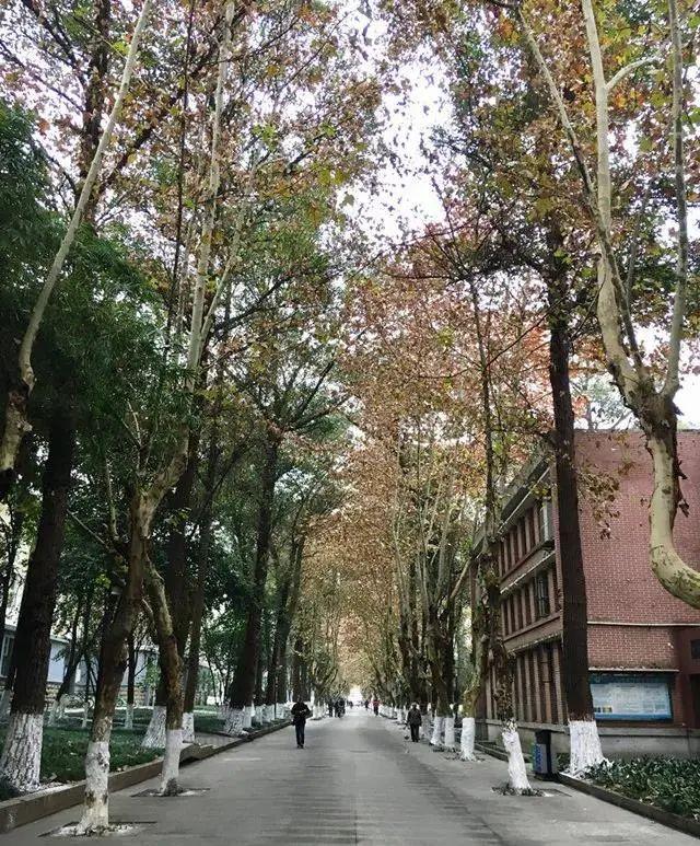 成都三加二学校有哪些(成都三加二学校公立的)