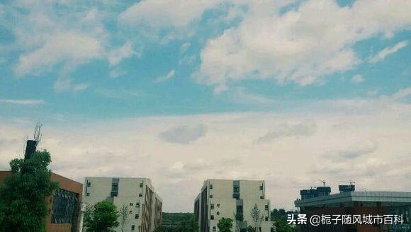 包含内江有几所公立职高学校的词条
