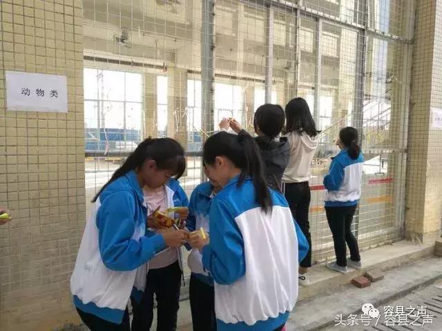 新希望职业中专学校(石家庄新希望职业中专学校)