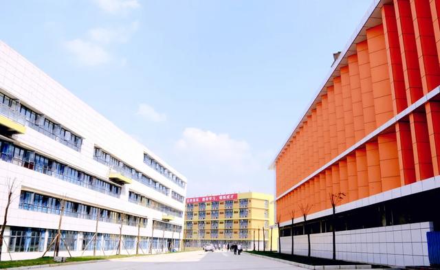 成都艺术职业学院学费(成都艺术职业学院邓一)