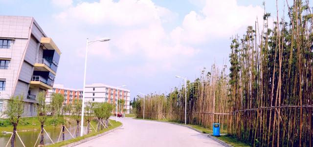 成都艺术职业学院学费(成都艺术职业学院邓一)