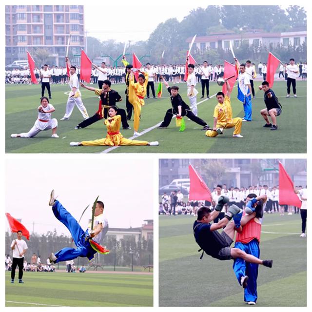 成都艺术职业学院学费(成都艺术职业学院邓一)